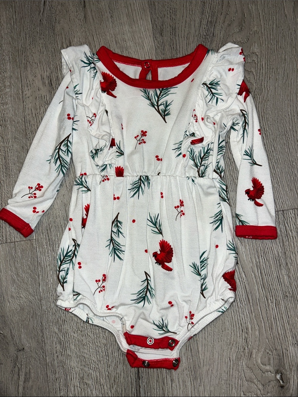 Kyte Baby One-Piece Romper in White with Red Cardinal Print